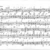 Lauffensteiner, Wolff Jacob - Partie in B flat major – Bild 2