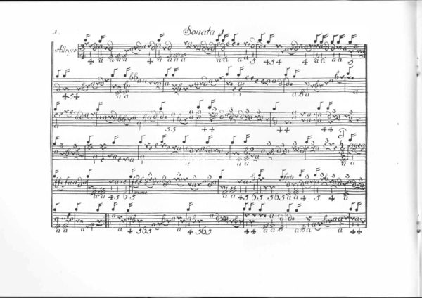 Rudolf Straube, Due Sonate a Liuto Solo (1746) – Bild 2