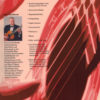 Abenteuer Gitarre – Bild 6