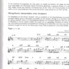Pop & Jazz Flute – Bild 2
