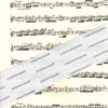 Querflötenmusik aus 3 Jahrhunderten – Bild 3