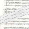 Die Querflötenfibel - Kanons & Trios – Bild 2