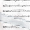 Jazz – Bild 3