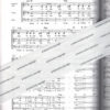 Loop Songs – Bild 2