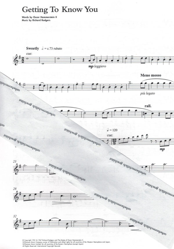 Show Tunes – Bild 2