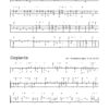 Anonymous - 32 Pieces from 'Donaueschingen Lutebook' – Bild 4