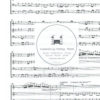 Antonio Vivaldi - Concerto Nr. 3; L'Autunno "Der Herbst" - aus: die vier Jahreszeiten – Bild 2
