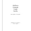 Isaac Albéniz MALLORCA-GRANADA-SEVILLA-CADIZ et de l’op. 47 pour guitare – Bild 3