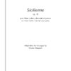 Gabriel Fauré - SICILIENNE OP. 78 pour flûte/violon/clarinette et guitare, Arr. C. Chappuis – Bild 3