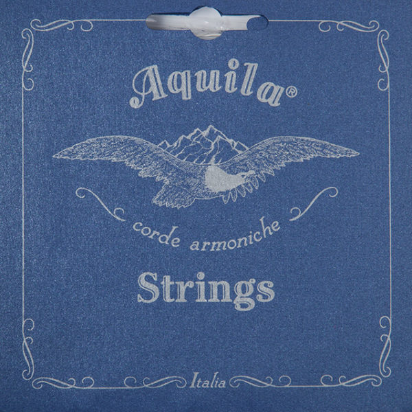 Aquila - Terz Guitar Set: Synthetic version of the historical setup