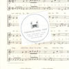 Marianne Magolt - Fröhliche Weihnachtszeit, Beliebte Weihnachtslieder in leichten Sätzen für 1-2 Akkordeons – Bild 3