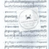 Irish Musicbox, Akkordeon solo, mit 2. Stimme (auch Klavier oder MIII) – Bild 3