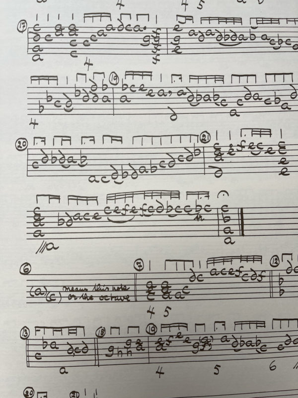 J.S. Bach - 3 Sonatas and 3 Partitas for Violin Solo, BWV 1001-1006a, arranged for lute by Gusta Goldschmidt – Bild 2