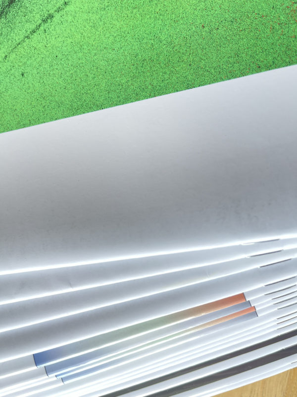 Broschüre A4 Hochformat, Klammerheftung, 4/4-Farbdruck, mit Umschlag 200g