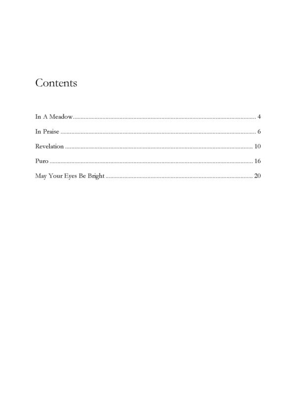 Gilbert Isbin - 5 Compositions For Cello And Baroque Lute – Bild 5