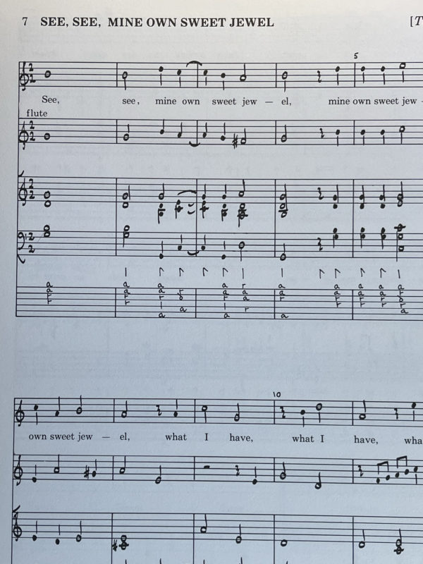 The Turpyn Lute Book, ed. Philippe Obussier (Early Music Centre Editions, 1981) – Bild 6