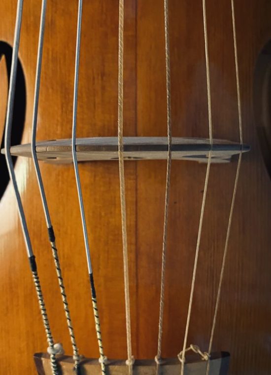 Wildgutstrings: G-Violone G1 - plain gut string / Darmsaite blank, 150 cm