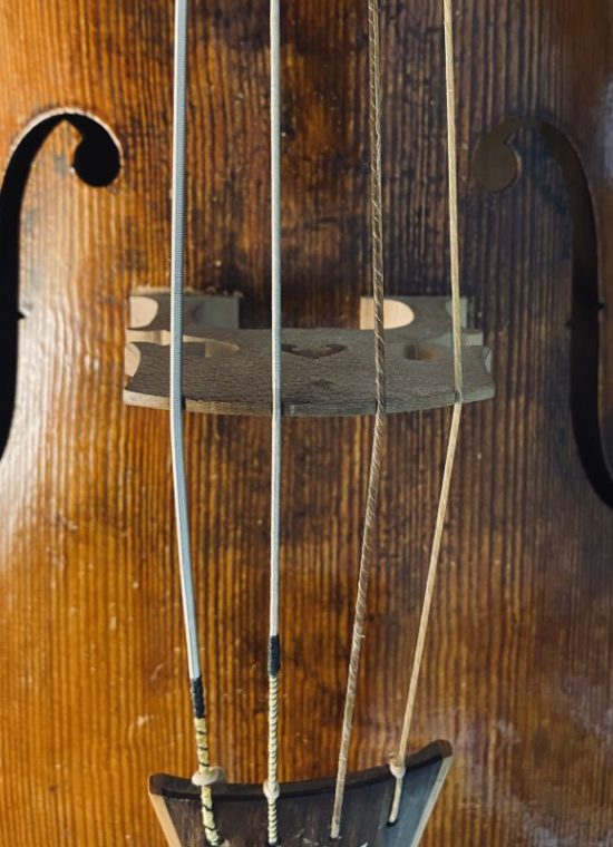 Wildgutstring: Violoncello A2 - plain gut string / Darmsaite blank, 120 cm