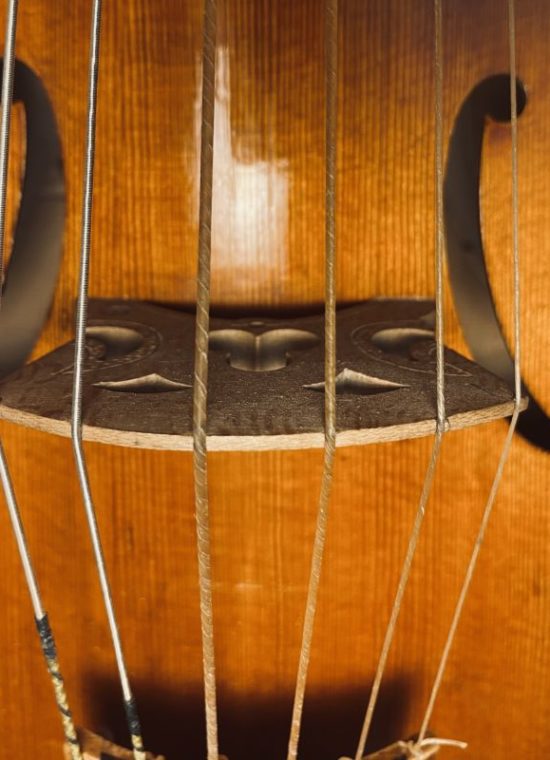 Wildgutstrings: Treble Viol / Diskantgambe D1 - plain gut string / Darmsaite blank, 65 / 130 cm