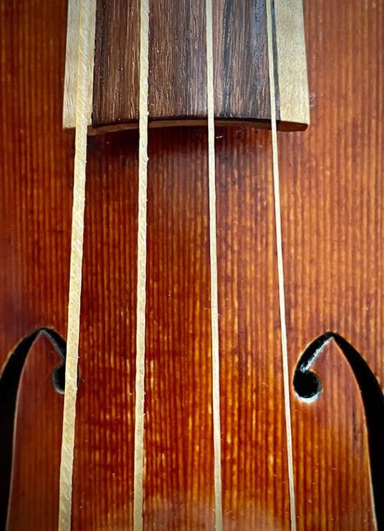 Wildgutstring: Violin A2 - plain gut string / Darmsaite blank, 60 / 120 cm