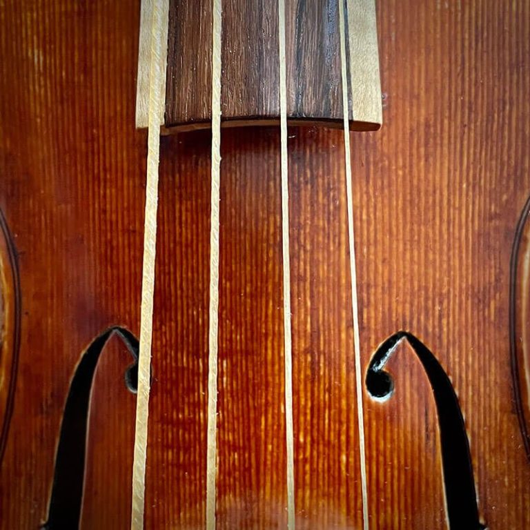 violine_blank-5219_800x800