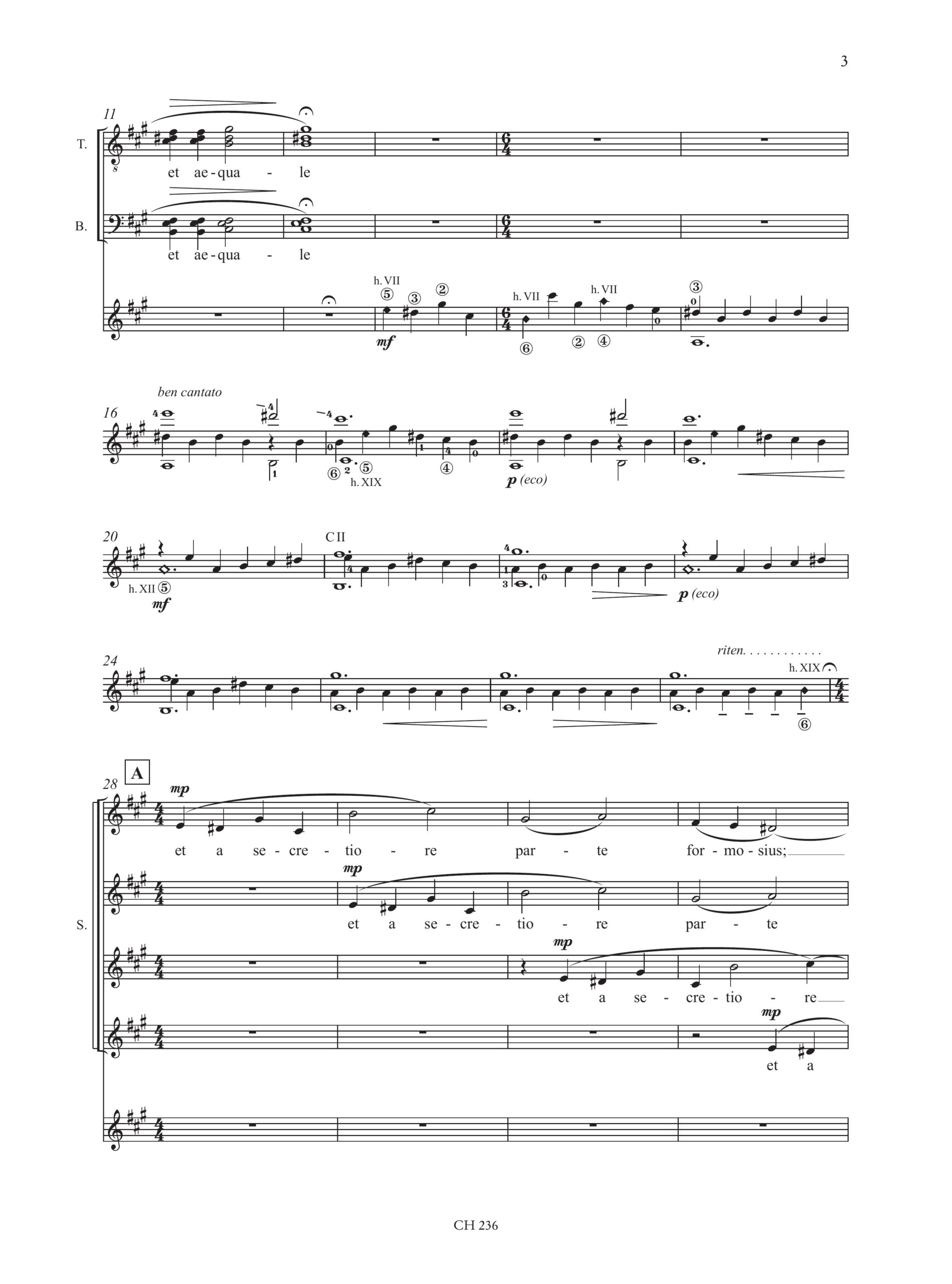Jappelli, Nicola: Nulla Sors Longa Est (su testi di Seneca) per Coro (SATB) e Chitarra (2009) - Image 3
