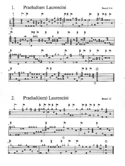 Selections from Piccinini & Kapsberger for solo Renaissance Lute