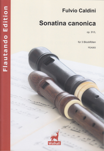 Caldini, Fulvio (*1959):Sonatina canonica op. 91/L