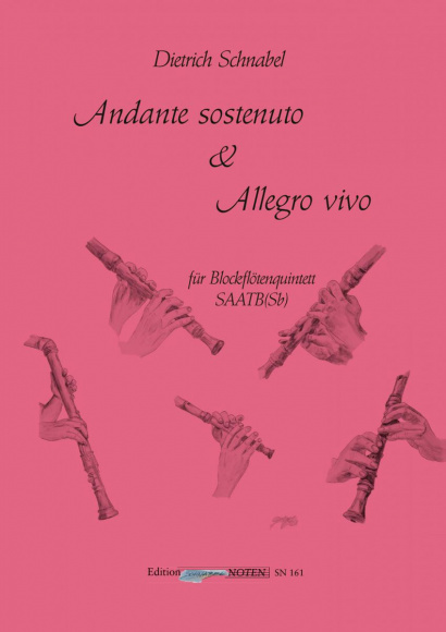 Schnabel, Dietrich (*1968): Andante sostenuto & Allegro Vivo
