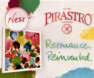 pir_banner_insula_2026_300x250