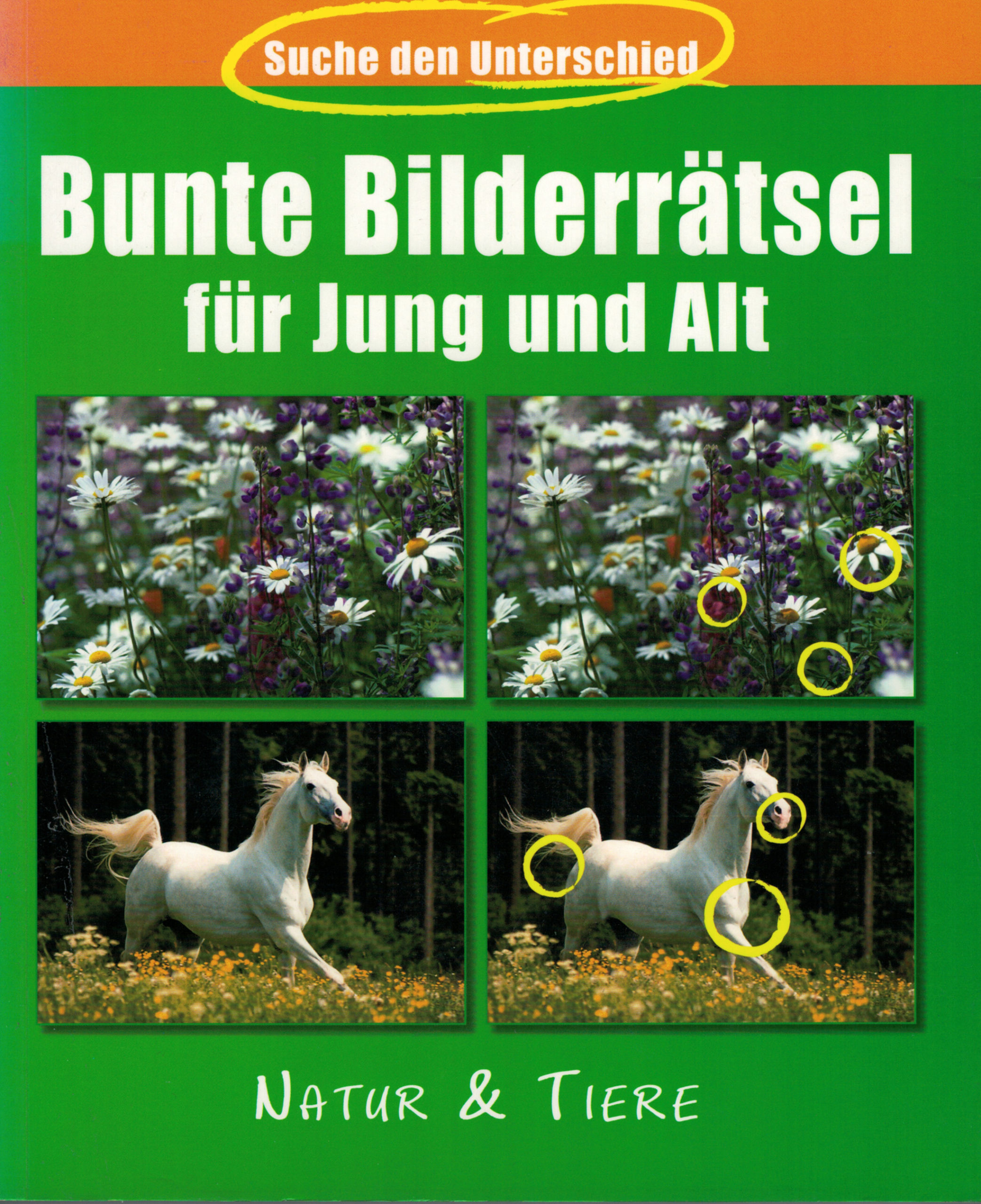 2026-10-18_DREI3_044