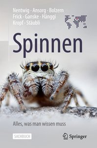 Spinnen - alles was man wissen muss